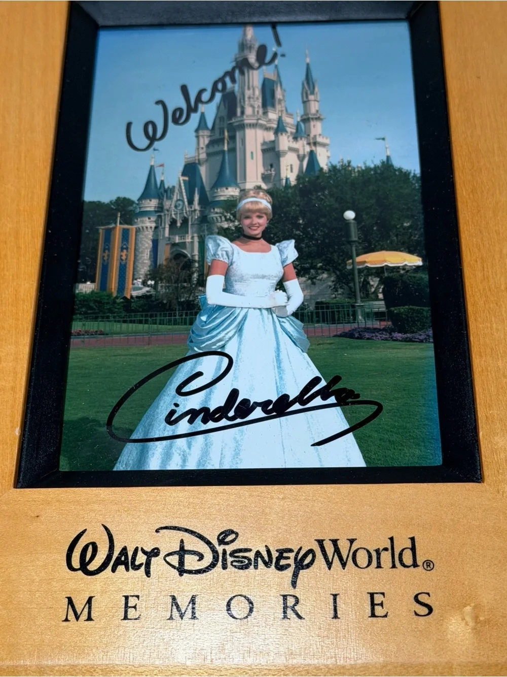 Walt Disney World Memories Wood Album Holds 100 Photos 4x6 Vintage WDW